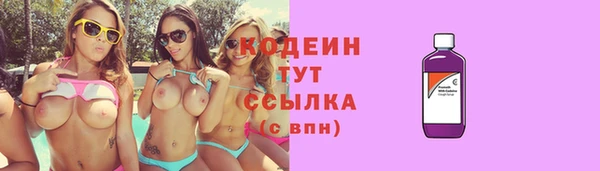 прущие грибы Фурманов