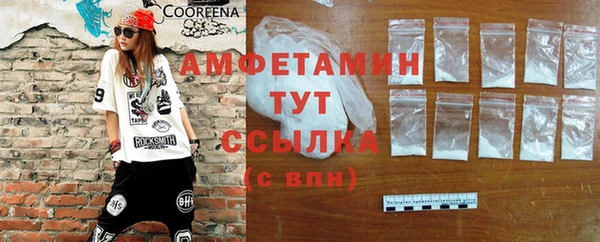 прущие грибы Медногорск