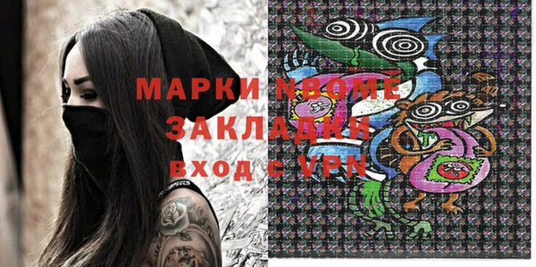 прущие грибы Медногорск