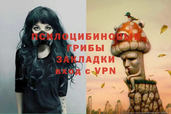 ГАЛЛЮЦИНОГЕННЫЕ ГРИБЫ Нефтегорск