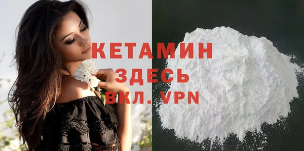прущие грибы Медногорск