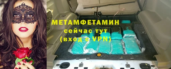 прущие грибы Медногорск